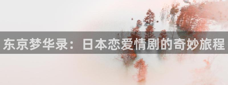 age动漫官网网址：东京梦华录：日本恋爱情剧的奇妙旅程