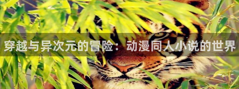 韩国漫画平台kakaopage：穿越与异次元的冒险：动漫同人小说的世界