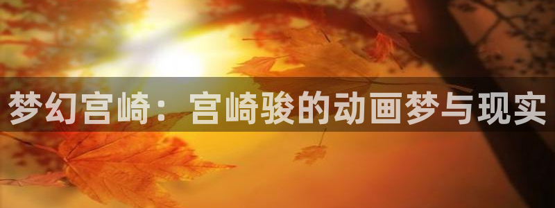 age动漫官网版入口：梦幻宫崎：宫崎骏的动画梦与现实