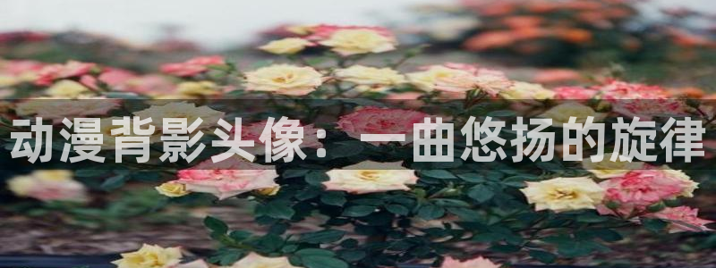 age动漫专注动漫的门户网站：动漫背影头像：一曲悠扬的旋律
