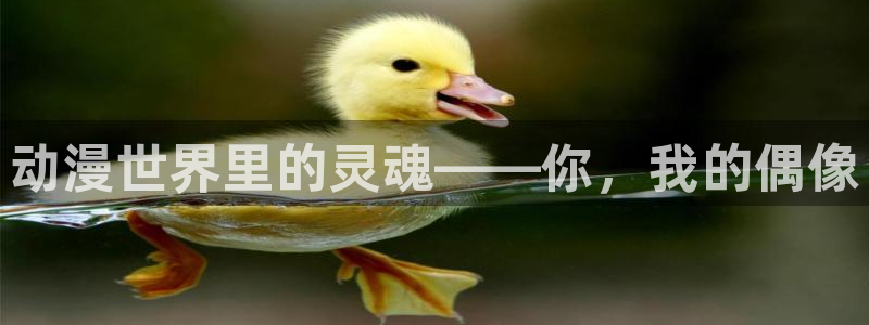 managereader漫画官网入口：动漫世界里的灵魂——你，我的偶像