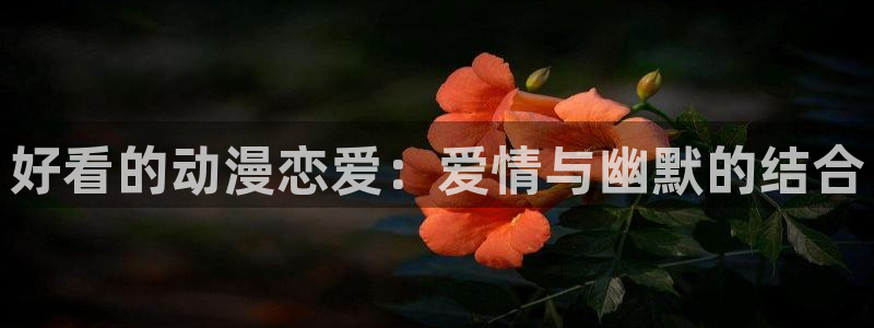 下载age动漫