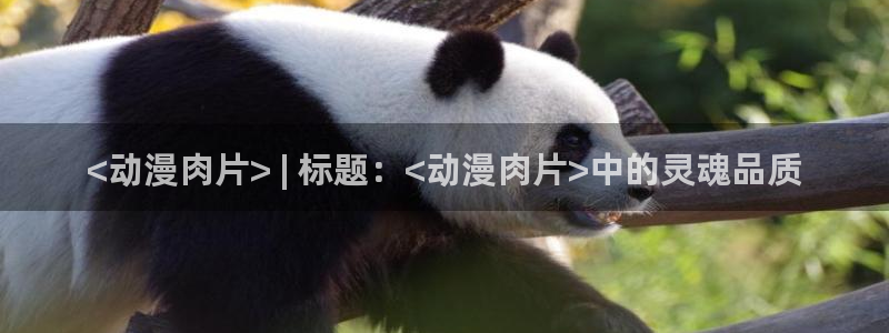 age动漫专注动漫的门户网站：<动漫肉片> | 标题：<动漫肉片>中的灵魂品质