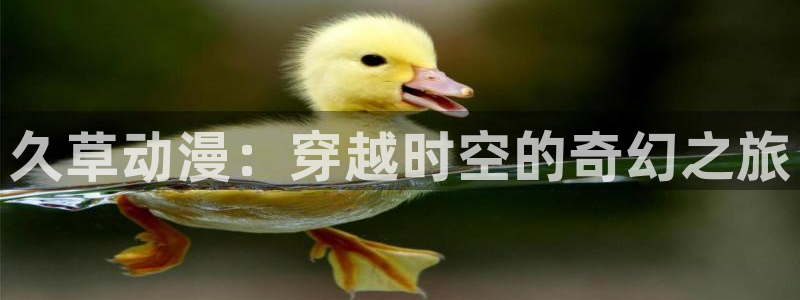 age动漫正版网：久草动漫：穿越时空的奇幻之旅