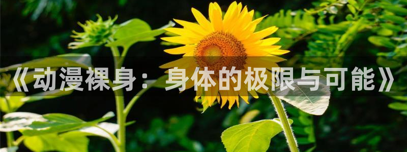 age动漫下载入口