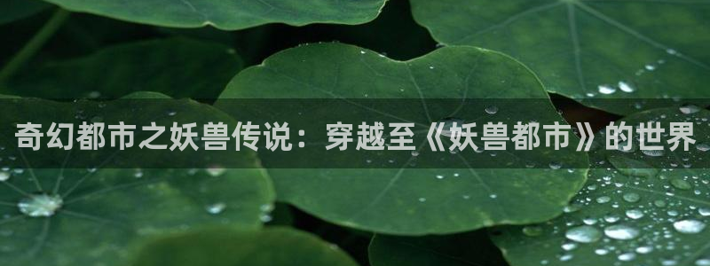 age樱花动漫：奇幻都市之妖兽传说：穿越至《妖兽都市》的世界